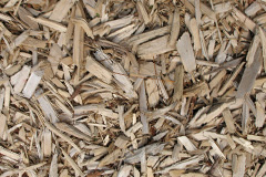 biomass boilers Greytree